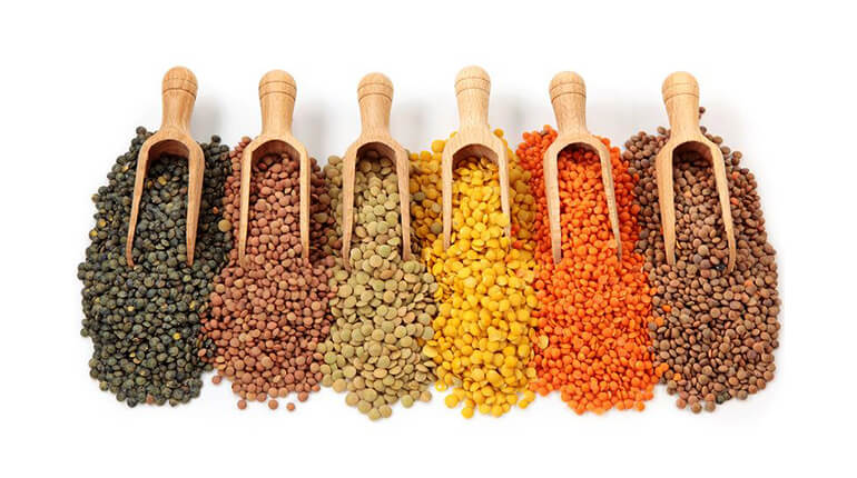 Lentils - ideal food for diabetes control 